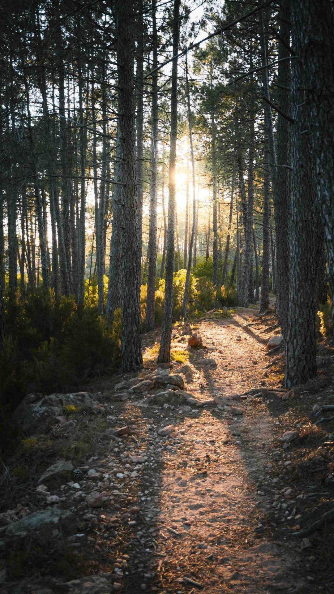 benoit-deschasaux-m7J3pOkkIn8-unsplash