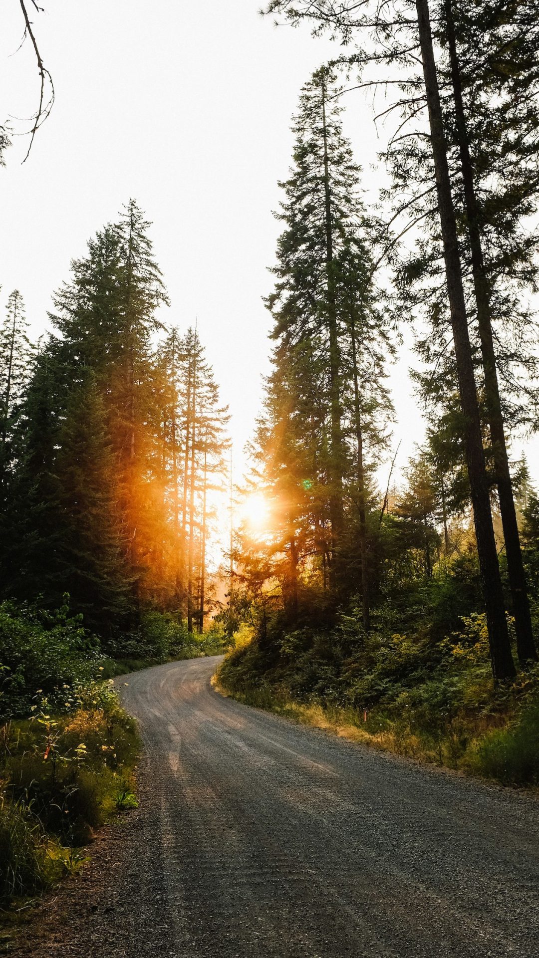 gabriel-sanchez-F_moKY91WYc-unsplash