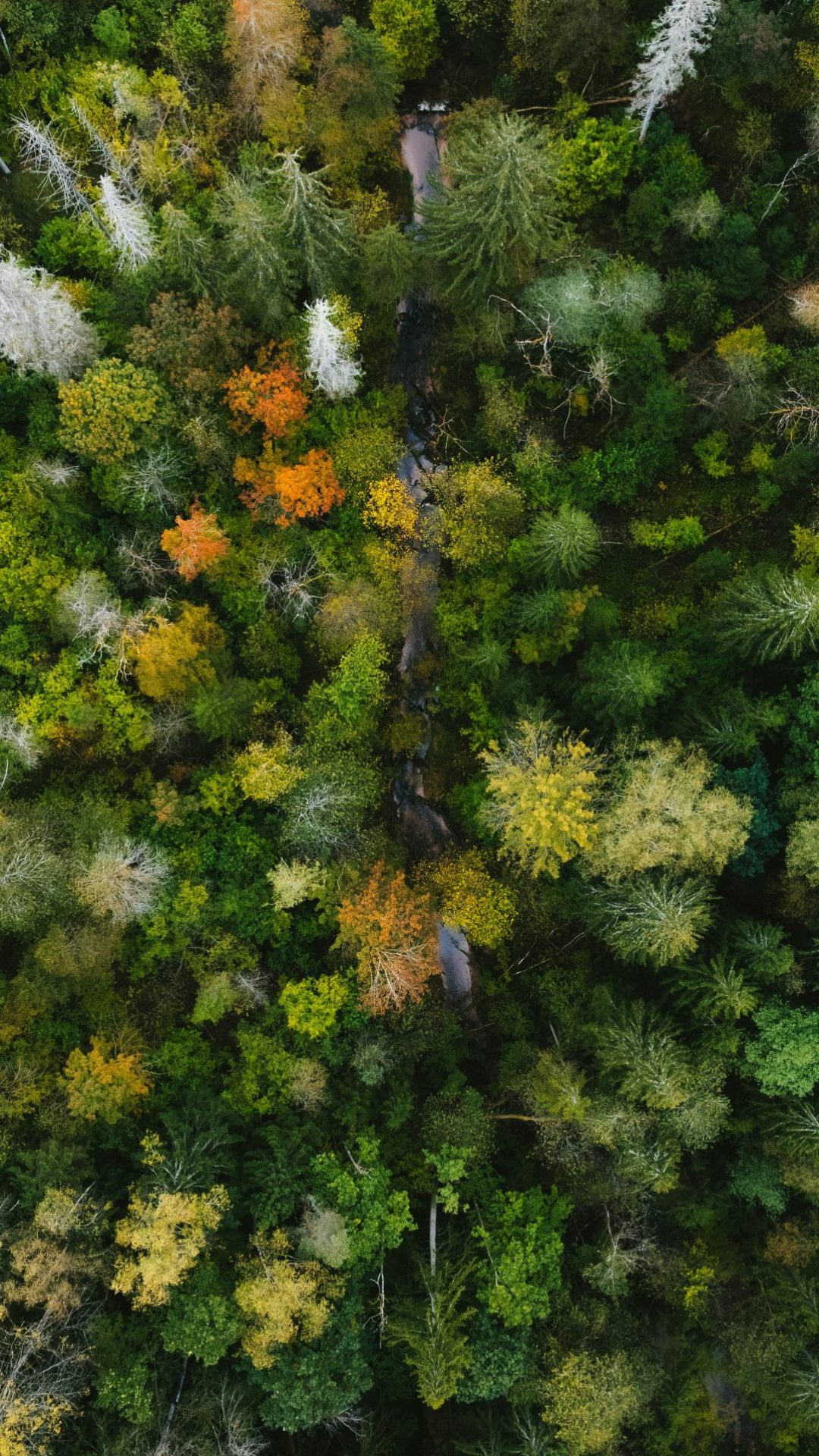 kristaps-ungurs-owcJsiIK7UU-unsplash